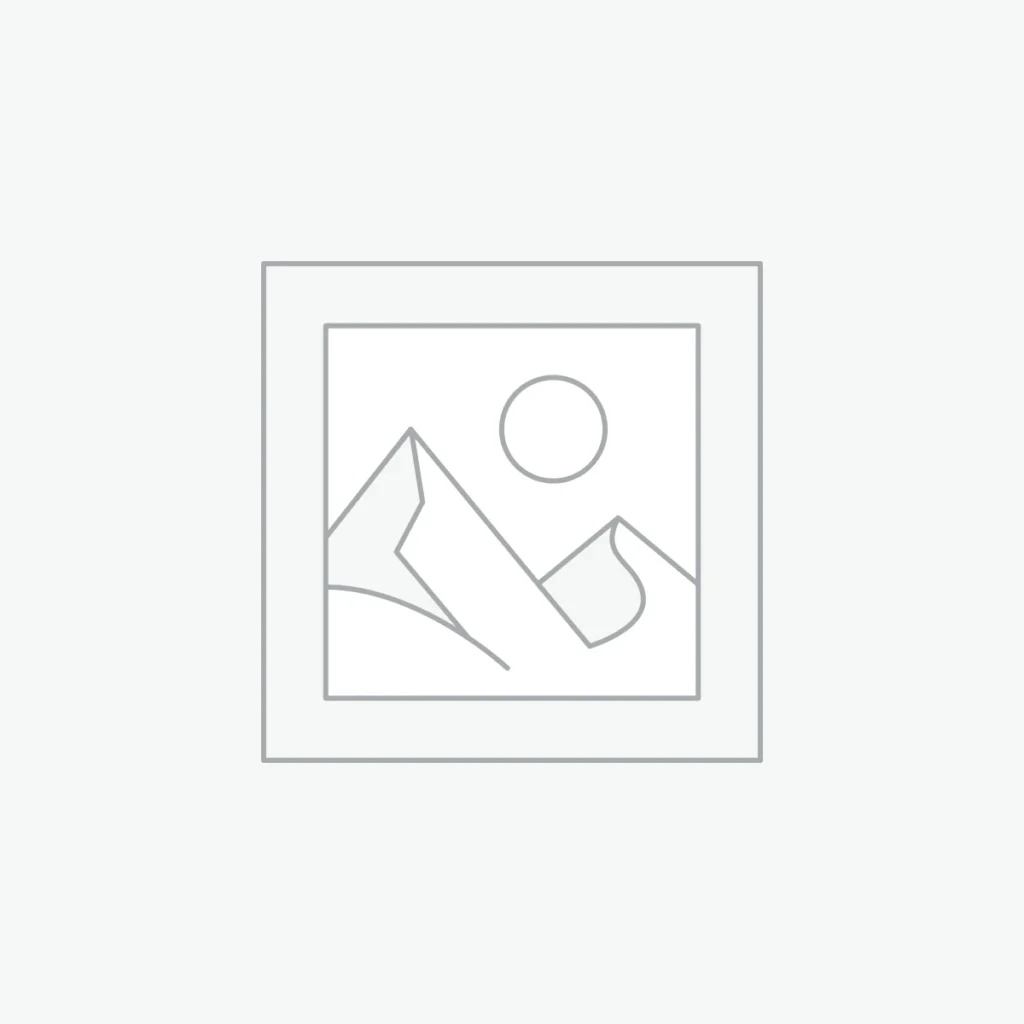 Bếp từ công nghiệp Demas